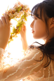 BY1259网站进入